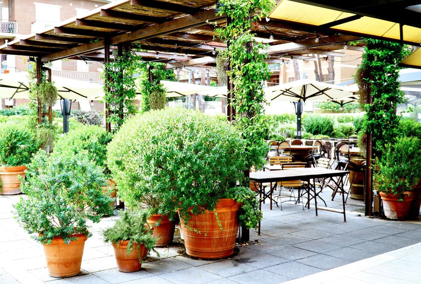 spazio all'aperto della pizzeria