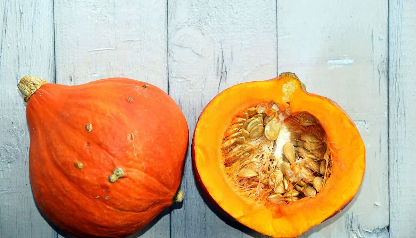 Ciclostazione Frattini - Zucca semi di zucca