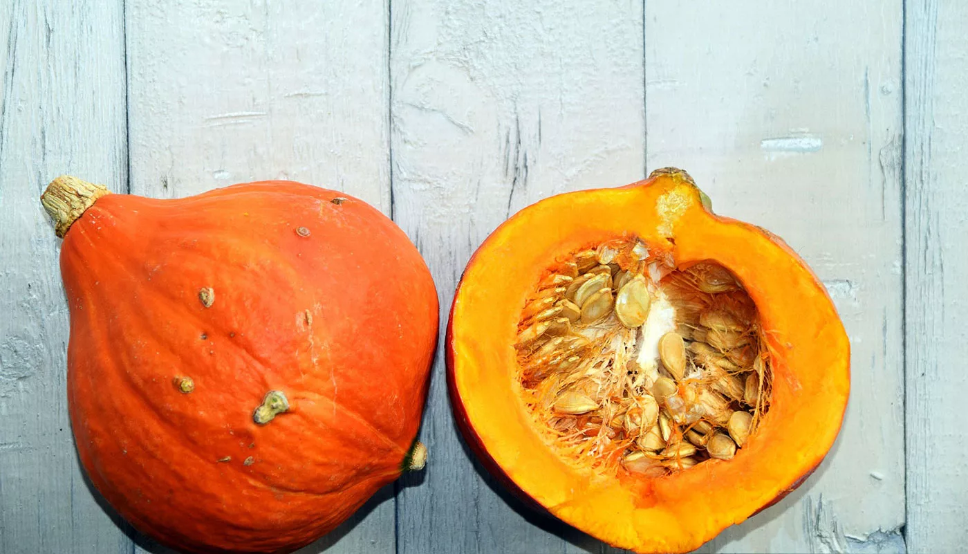 zucca e semi